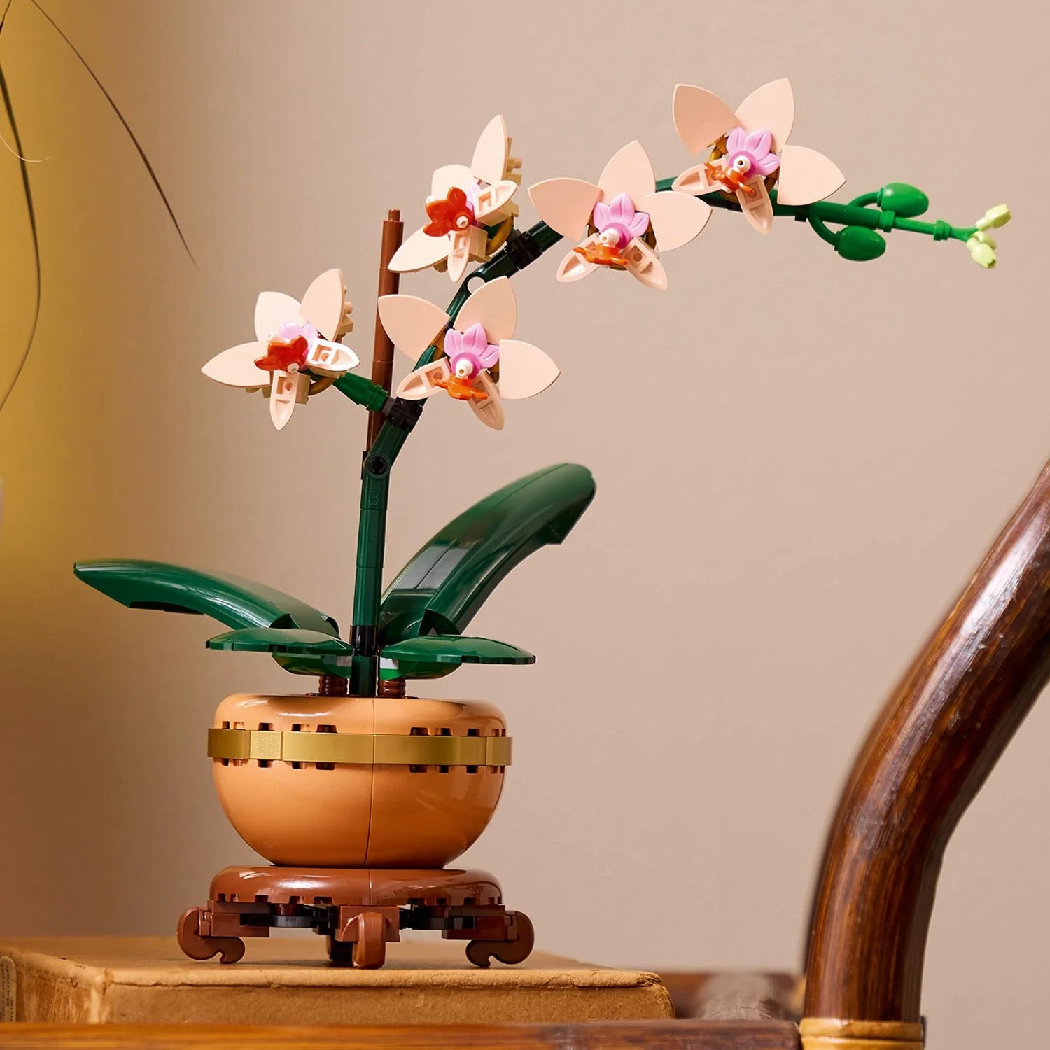 Botanical Collection - Mini Orchid (10343)