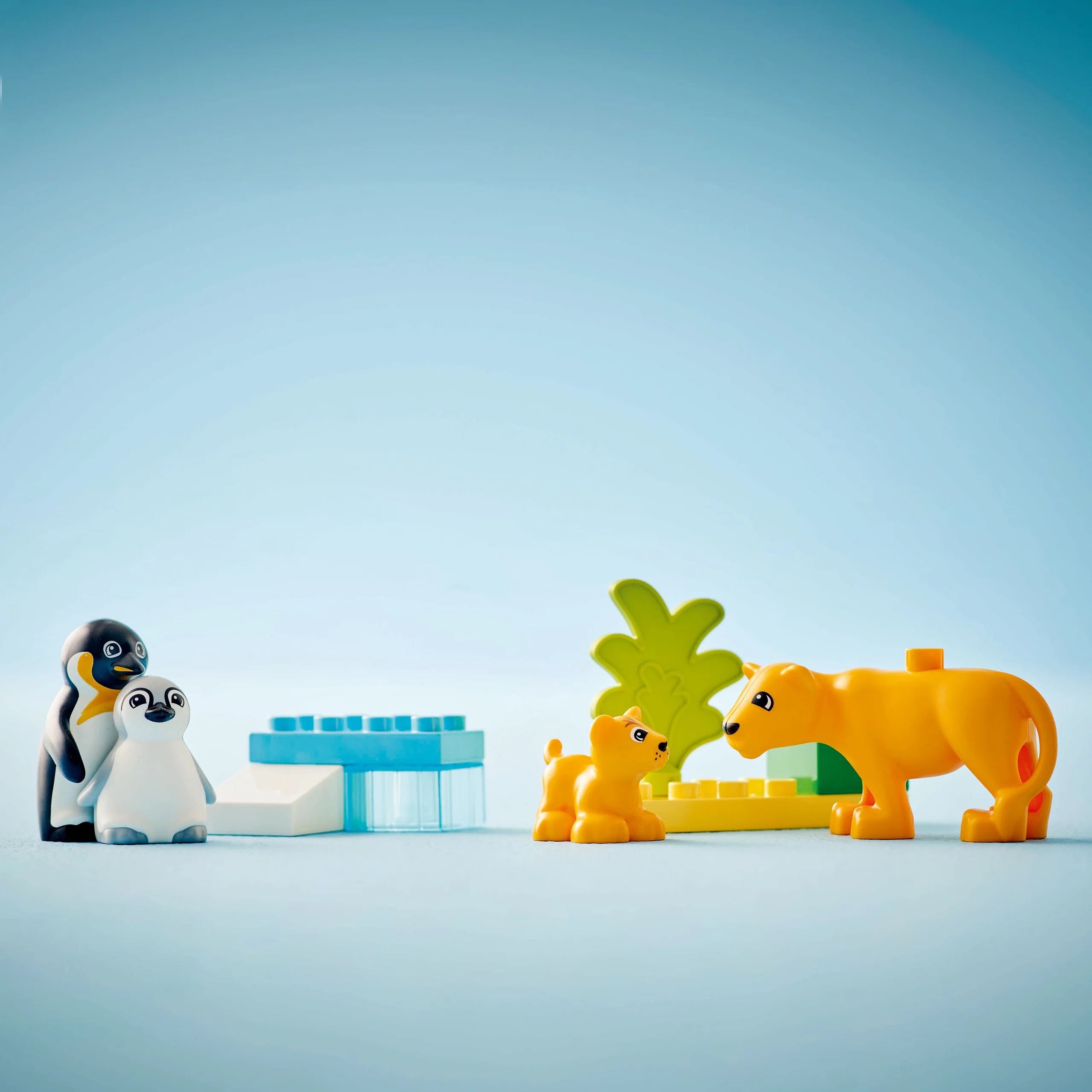 Duplo Wild Animal Families:  Penguins and Lions (10442)