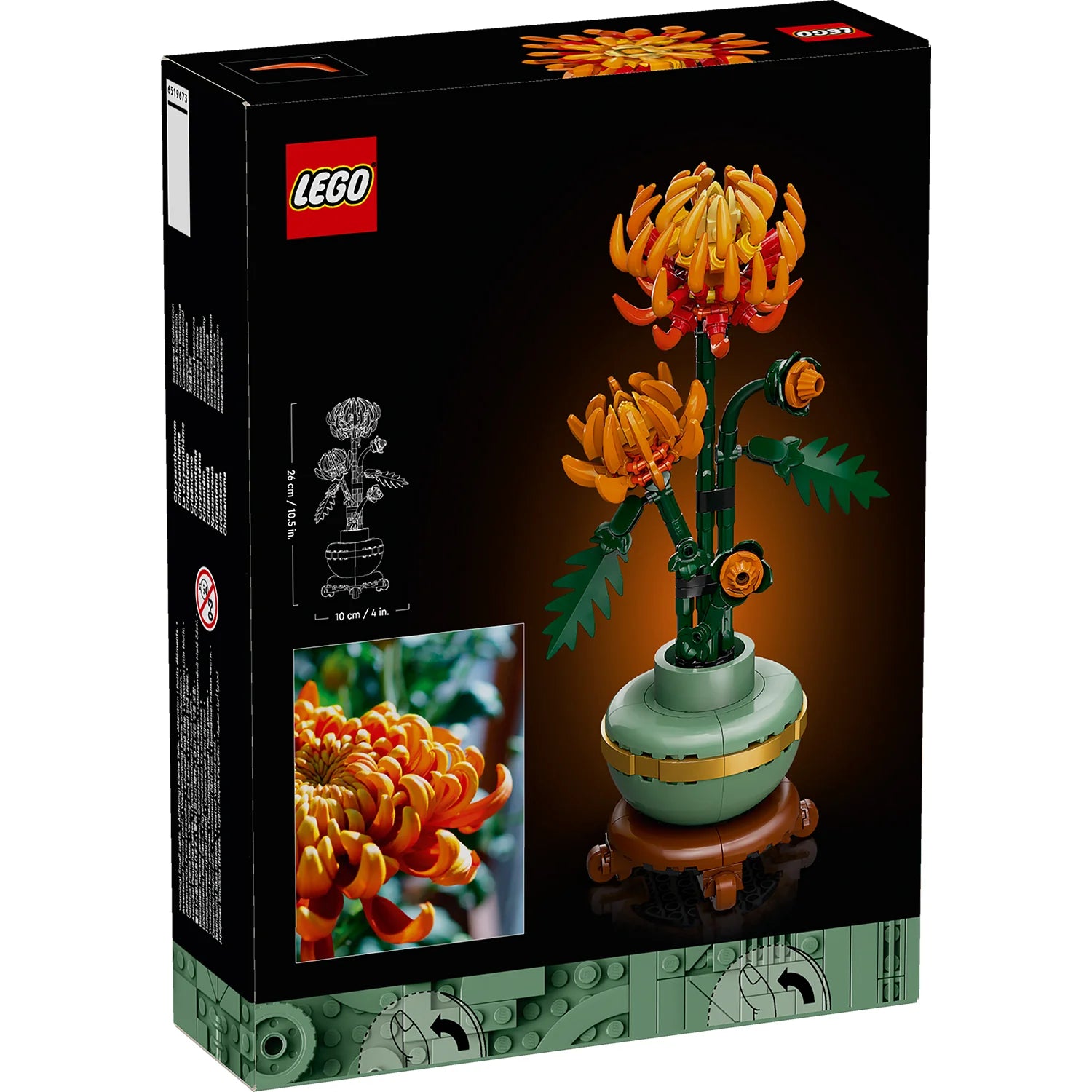 Botanical Collection - Chrysanthemum (10368)