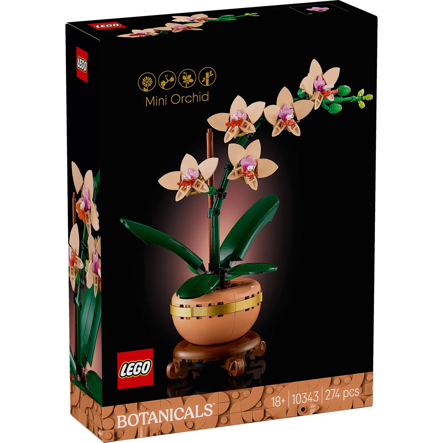 Botanical Collection - Mini Orchid (10343)