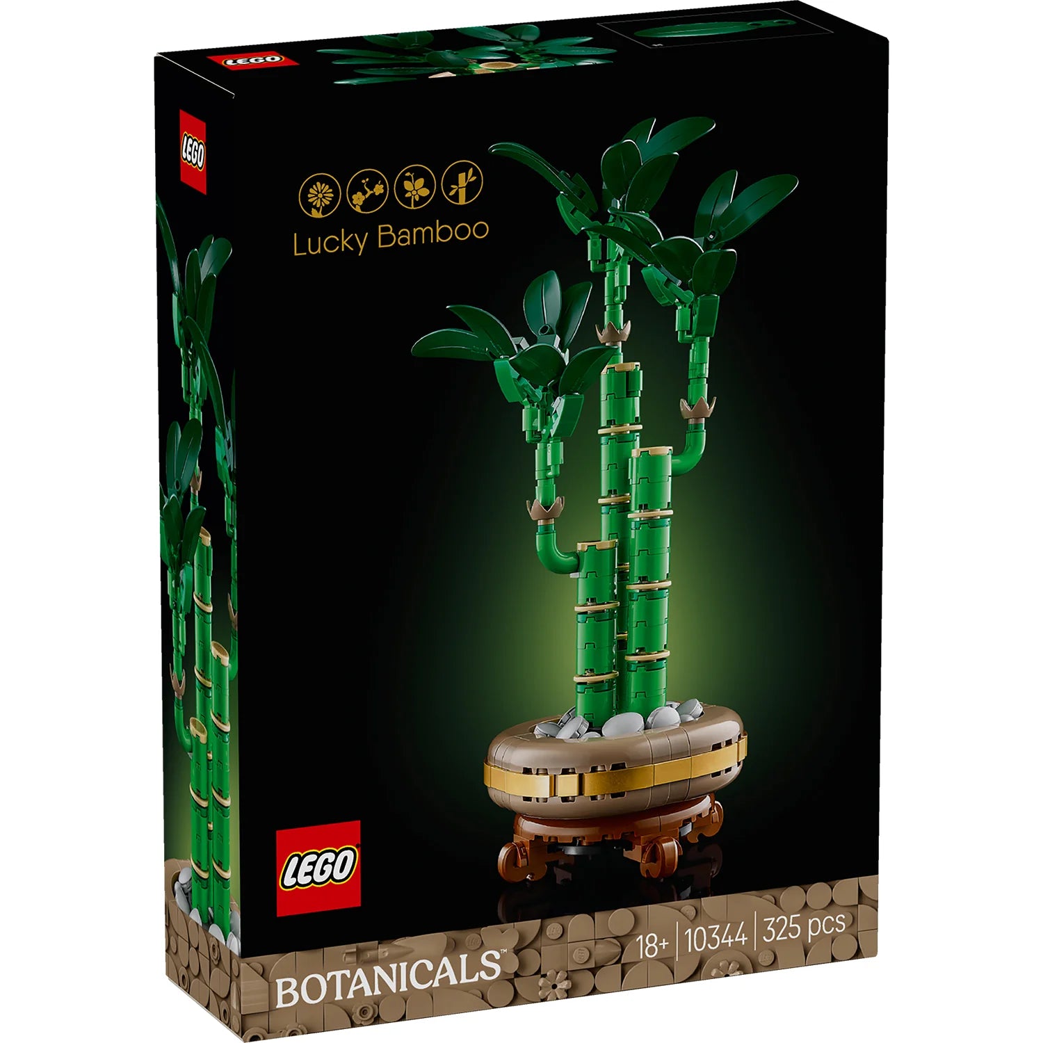 Botanical Collection - Lucky Bamboo (10344)