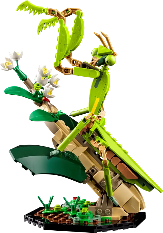 LEGO® Ideas - The Insect Collection (21342)