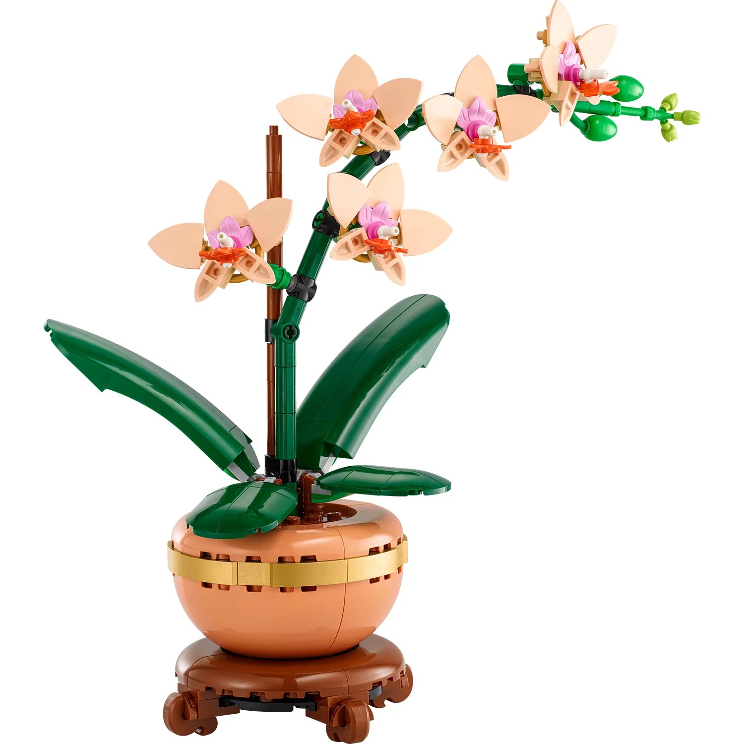 Botanical Collection - Mini Orchid (10343)