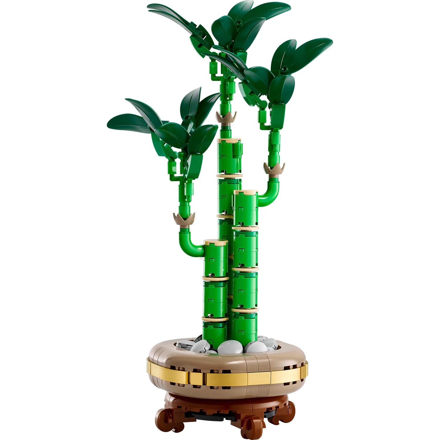 Botanical Collection - Lucky Bamboo (10344)