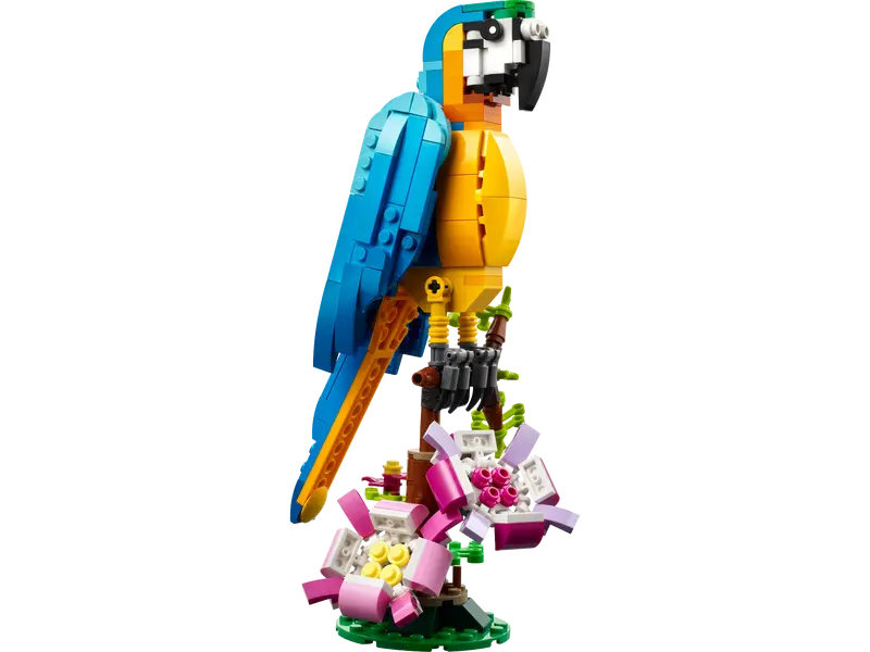 Creator 3-in-1 - Exotic Parrot (31136)