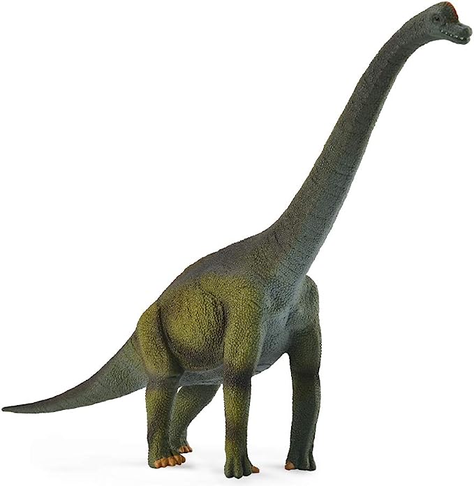 CollectA - The Age of Dinosaurs - Brachiosaurus (L) (88121)