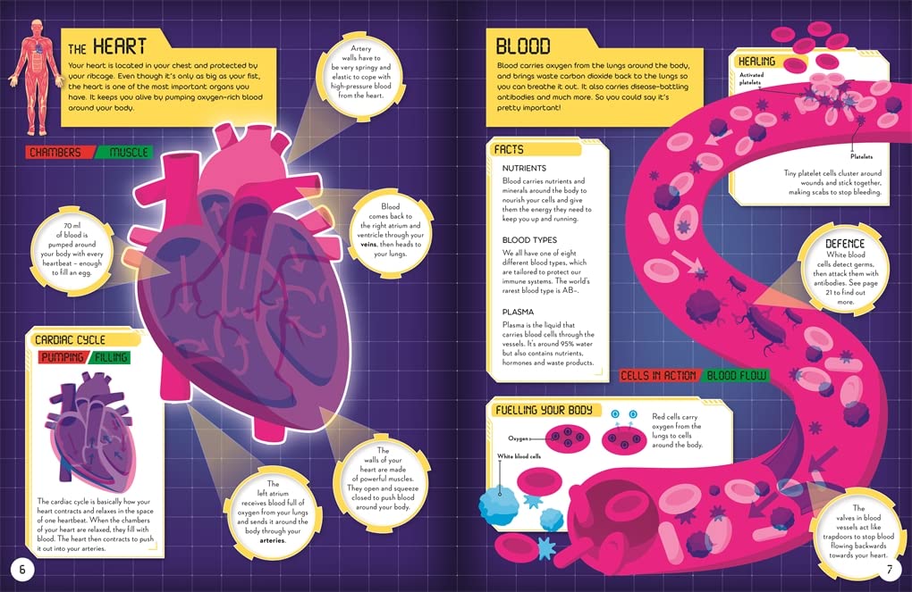 Fact Finders - Secrets of the Human Body