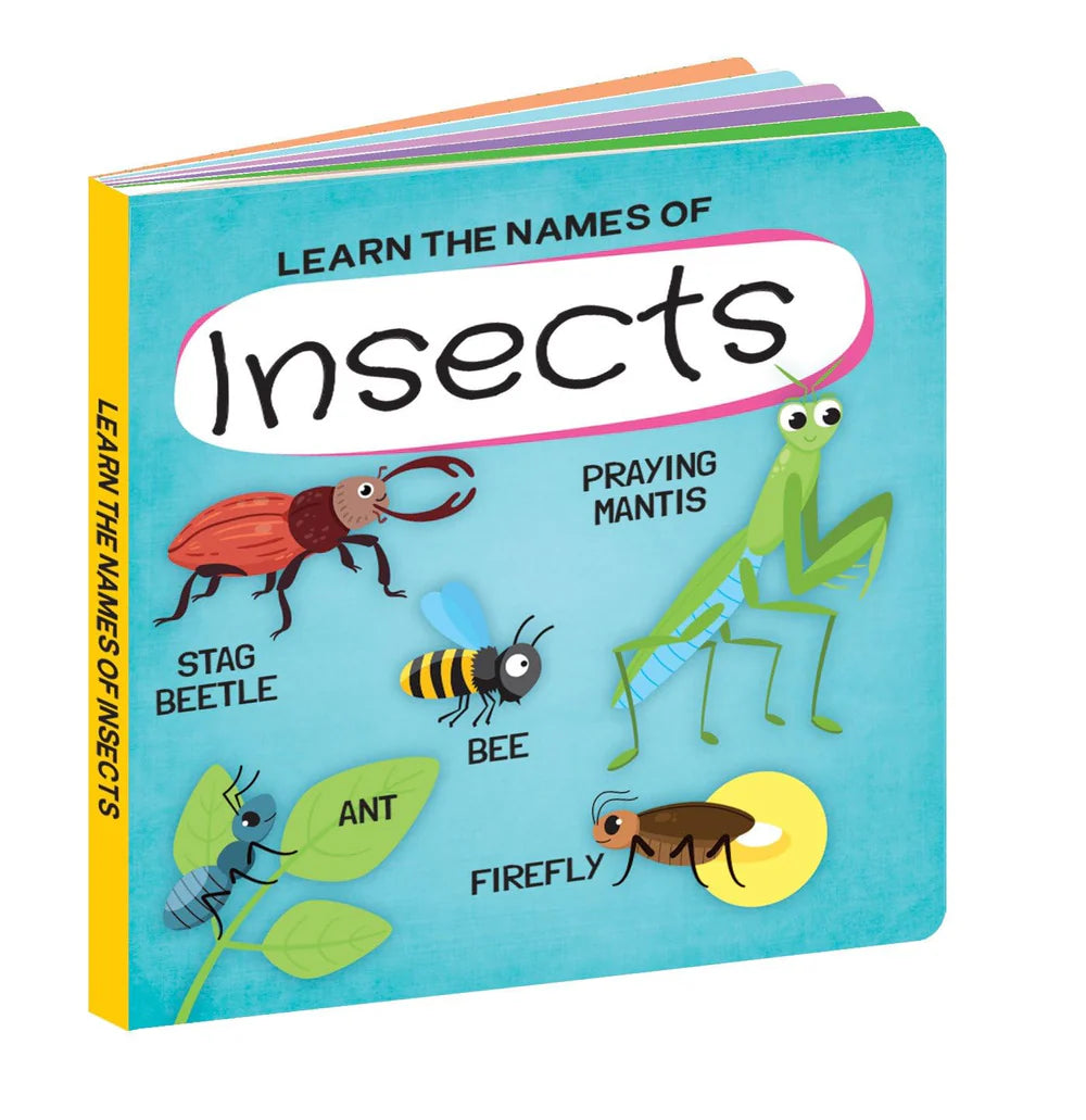 Sassi 3D Puzzle & Book Set - World of Insects