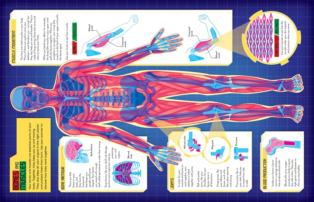 Fact Finders - Secrets of the Human Body