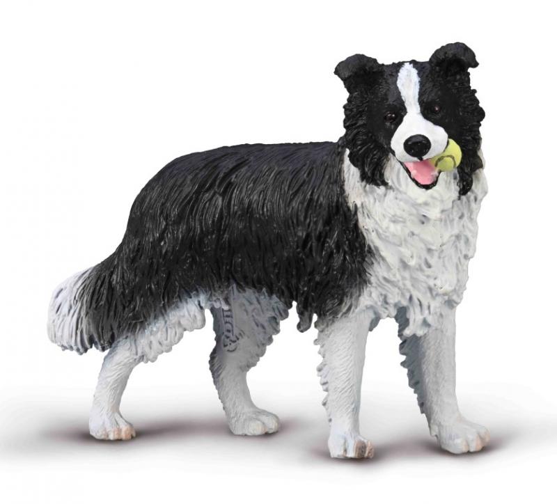 CollectA - Cats & Dogs - Border Collie (L) (80012) (NEW)