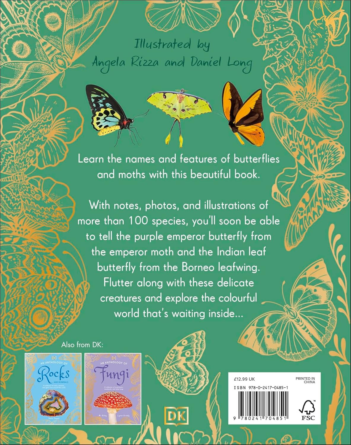 An Anthology of Butterflies and Moths:  A Collection of Butterflies and Moths from Around the World