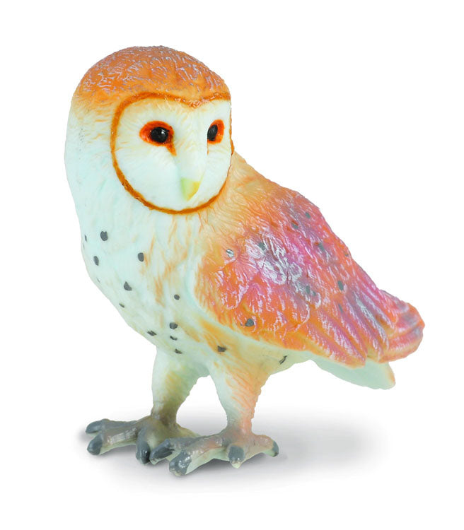 Collecta - Europe - Barn Owl (S) (88003)