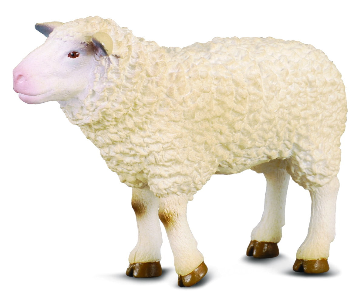 Sheep, Medium (88008)