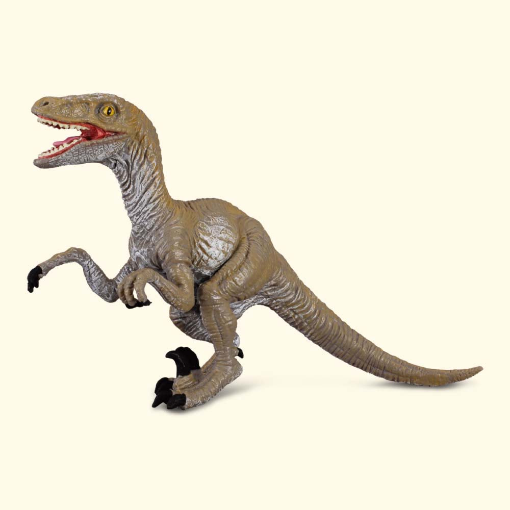 CollectA - The Age of Dinosaurs - Velociraptor (M) (88034)