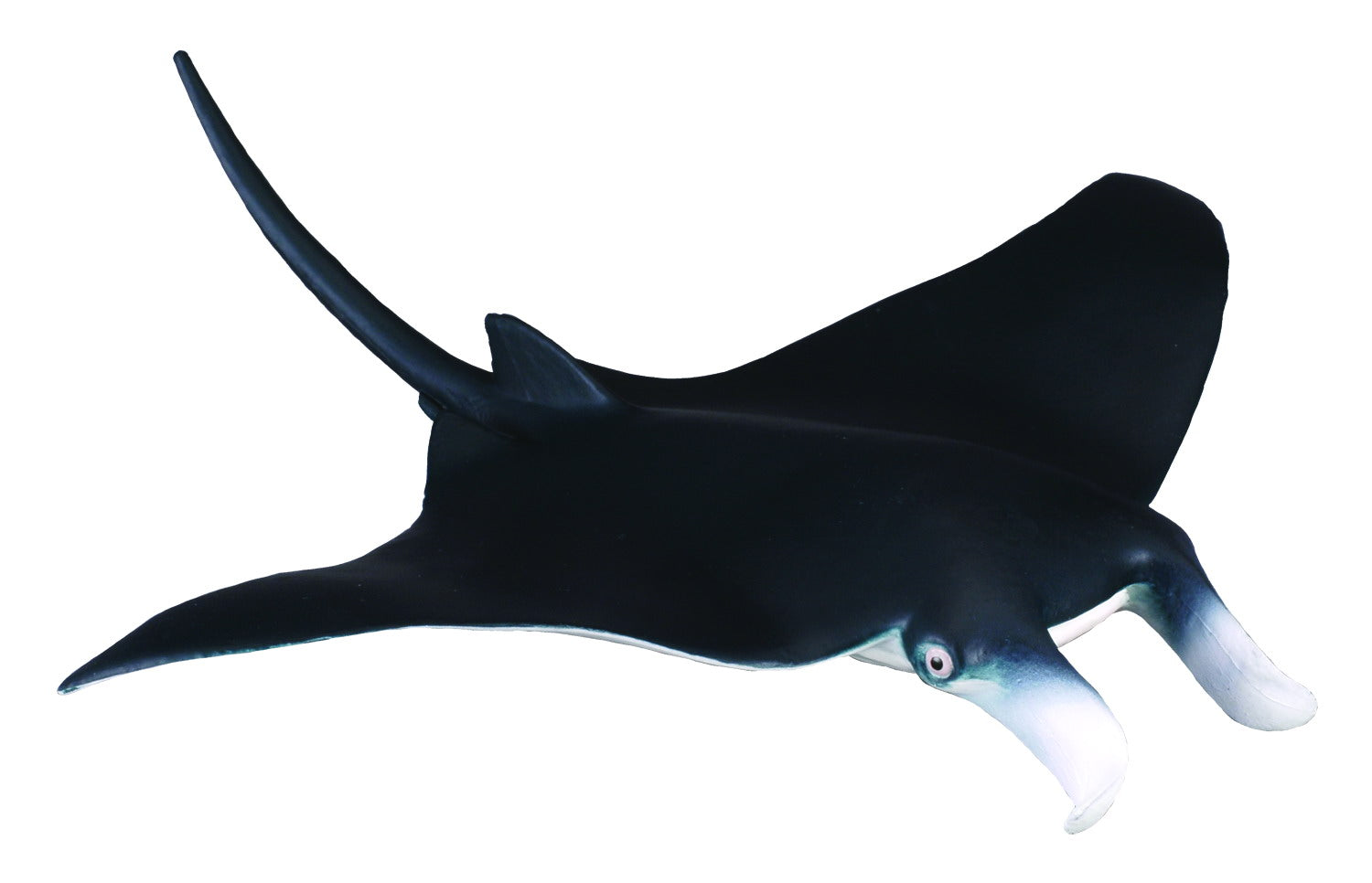 CollectA - Ocean - Manta Ray (M) (88040)