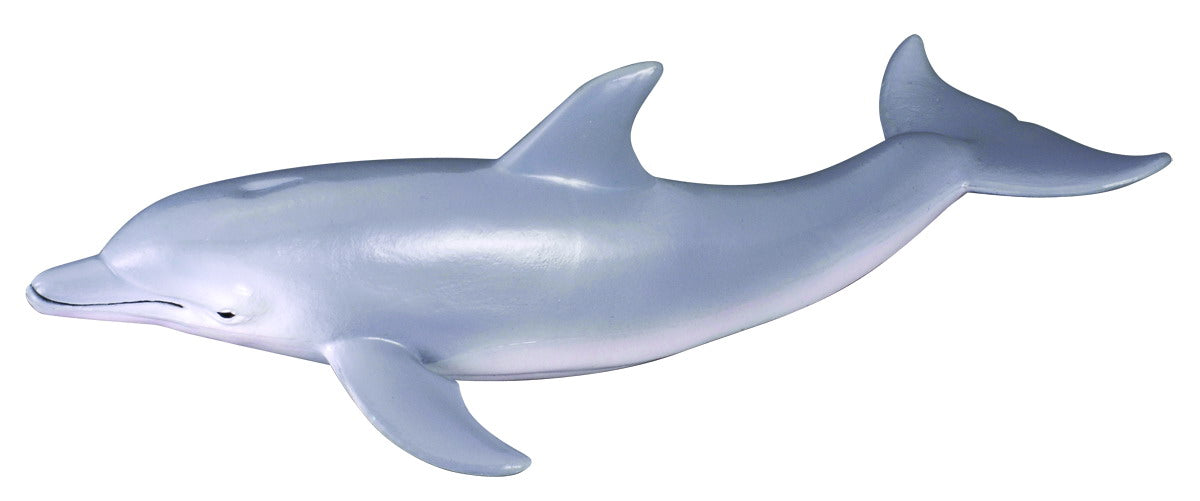 Bottlenose Dolphin, Medium (88042)