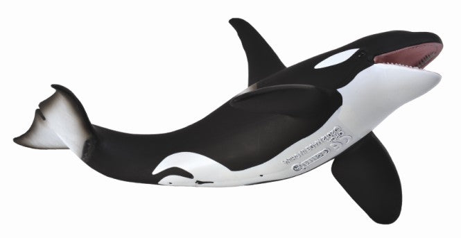 CollectA -  Ocean - Orca (XL) (88043)