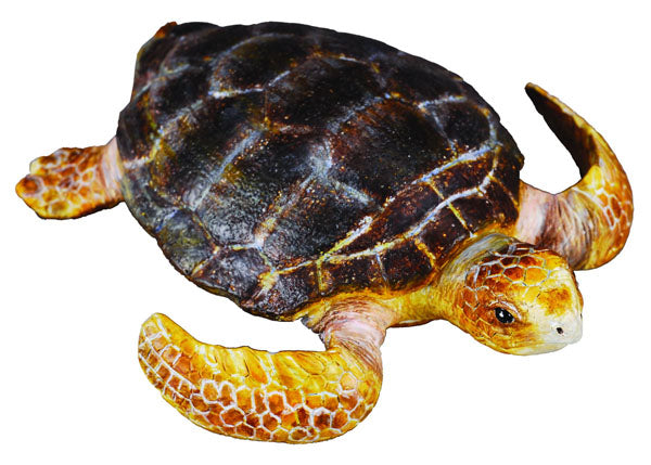 CollectA - Oceans - Loggerhead Turtle (M) (88094)