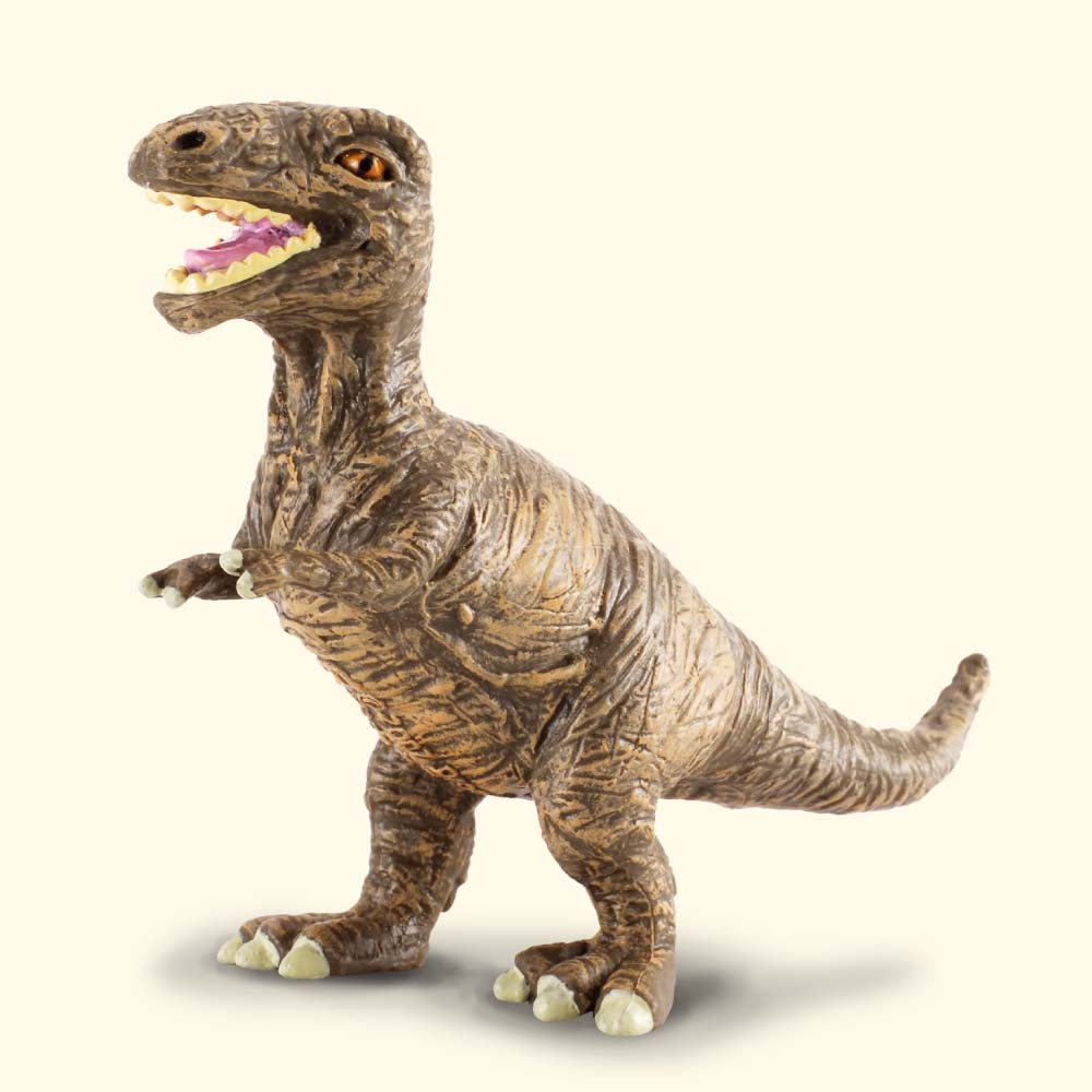 CollectA - The Age of Dinosaurs - T-Rex Baby (S) (88197)