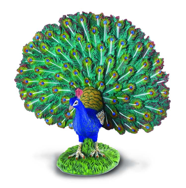 CollectA - Farm Time - Peacock (L) (88209)