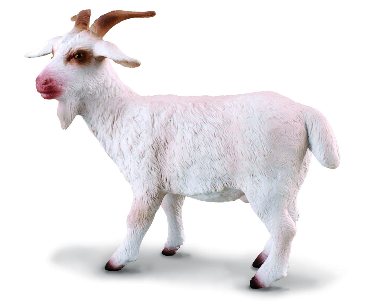 Billy Goat, Medium (88212)