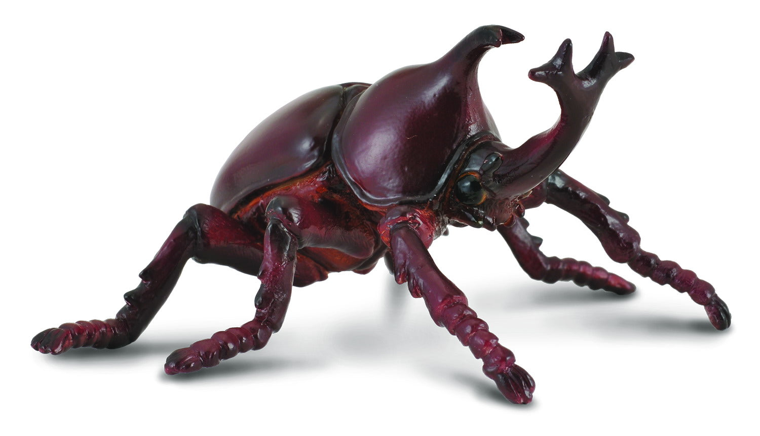 Rhinoceros Beetle, Medium (88337)