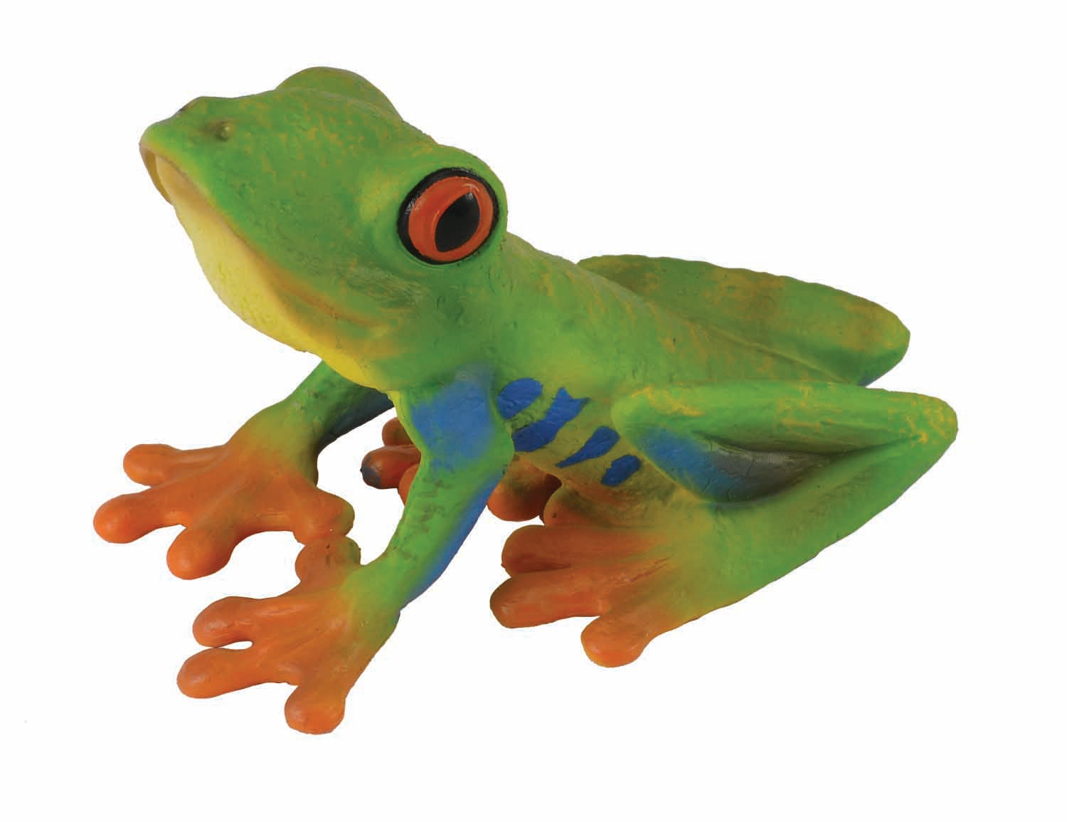 Red-Eyed Tree Frog, Medium (88386)