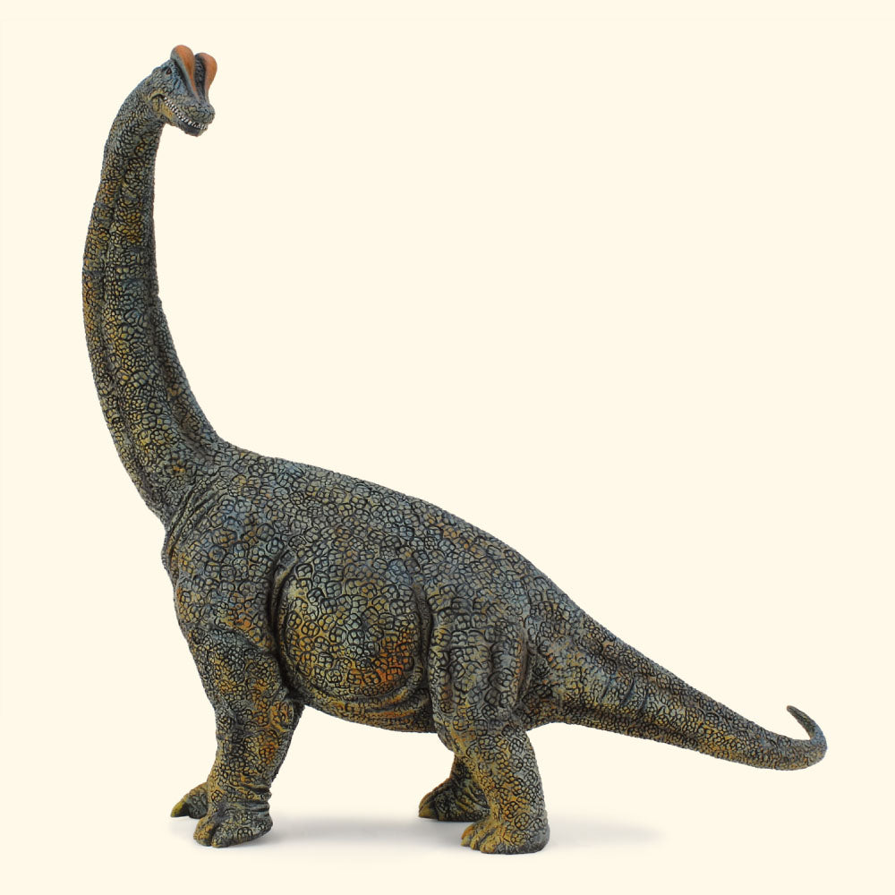 CollectA - The Age of Dinosaurs - Brachiosaurus (Deluxe 1:40 Scale) (88405)