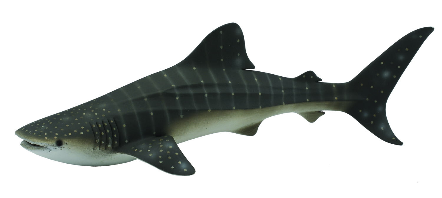 Whale Shark, Extra Large (88453)