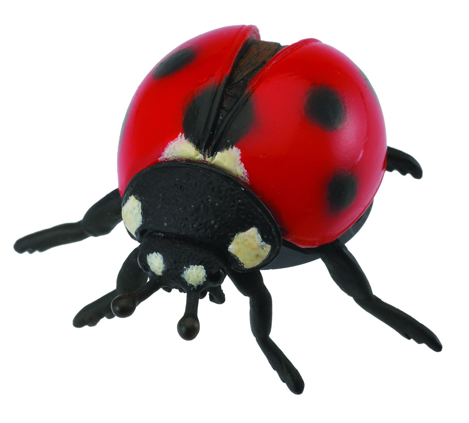 CollectA - Insects and Spiders - Ladybird (M) (88474)