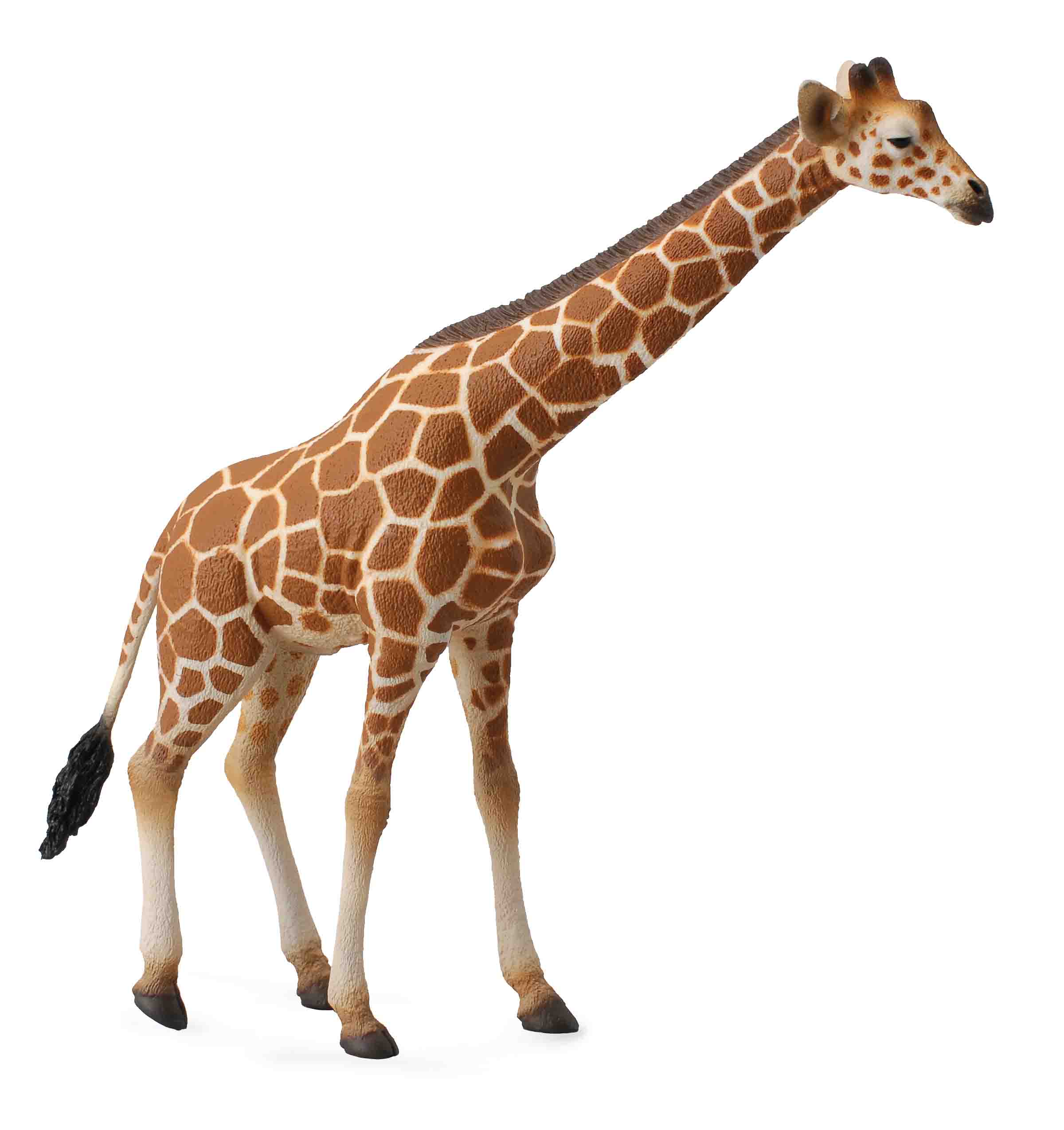 Reticulated Giraffe, Extra Large (88534)