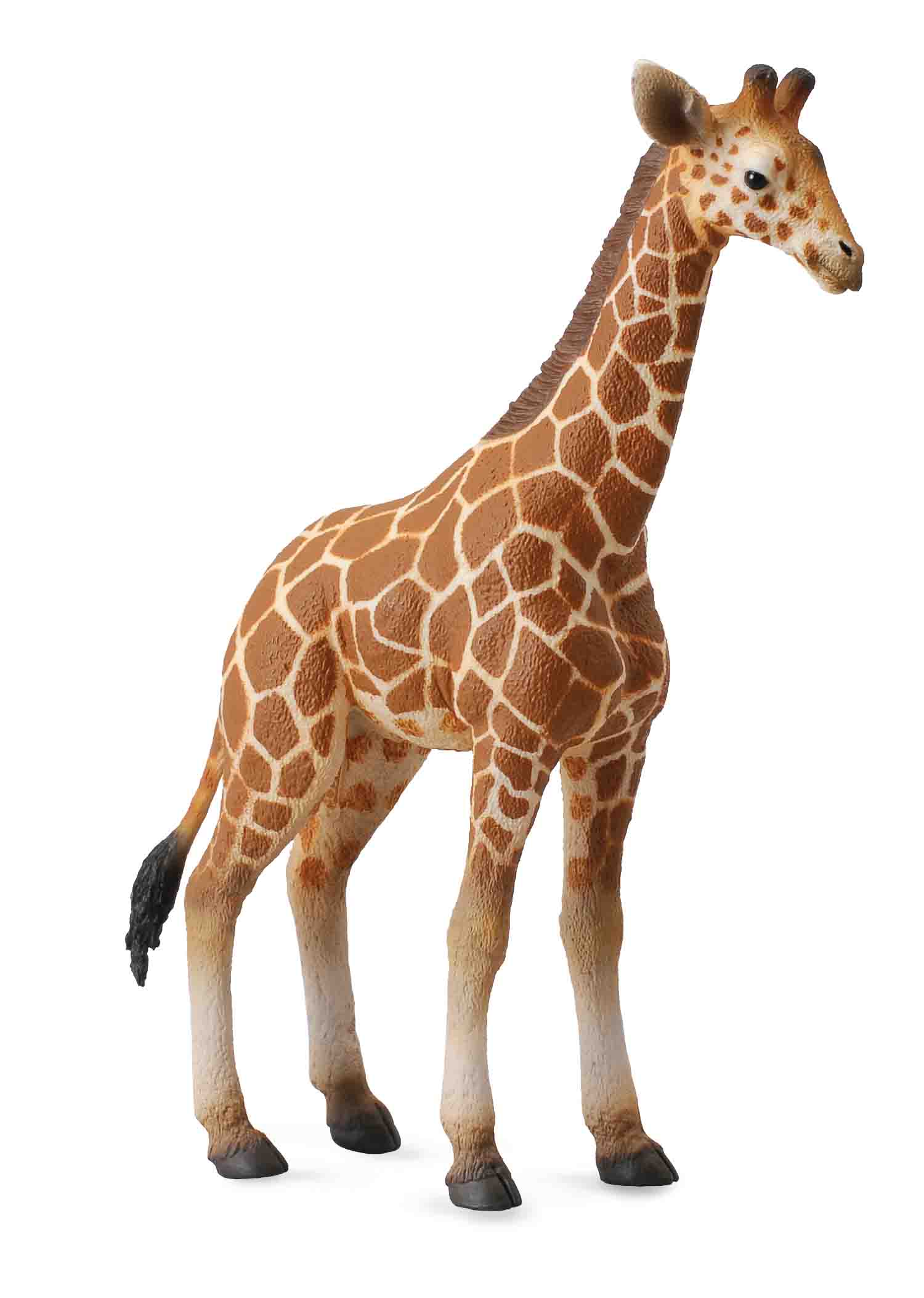 CollectA - Africa - Reticulated Giraffe Calf (L) (88535)