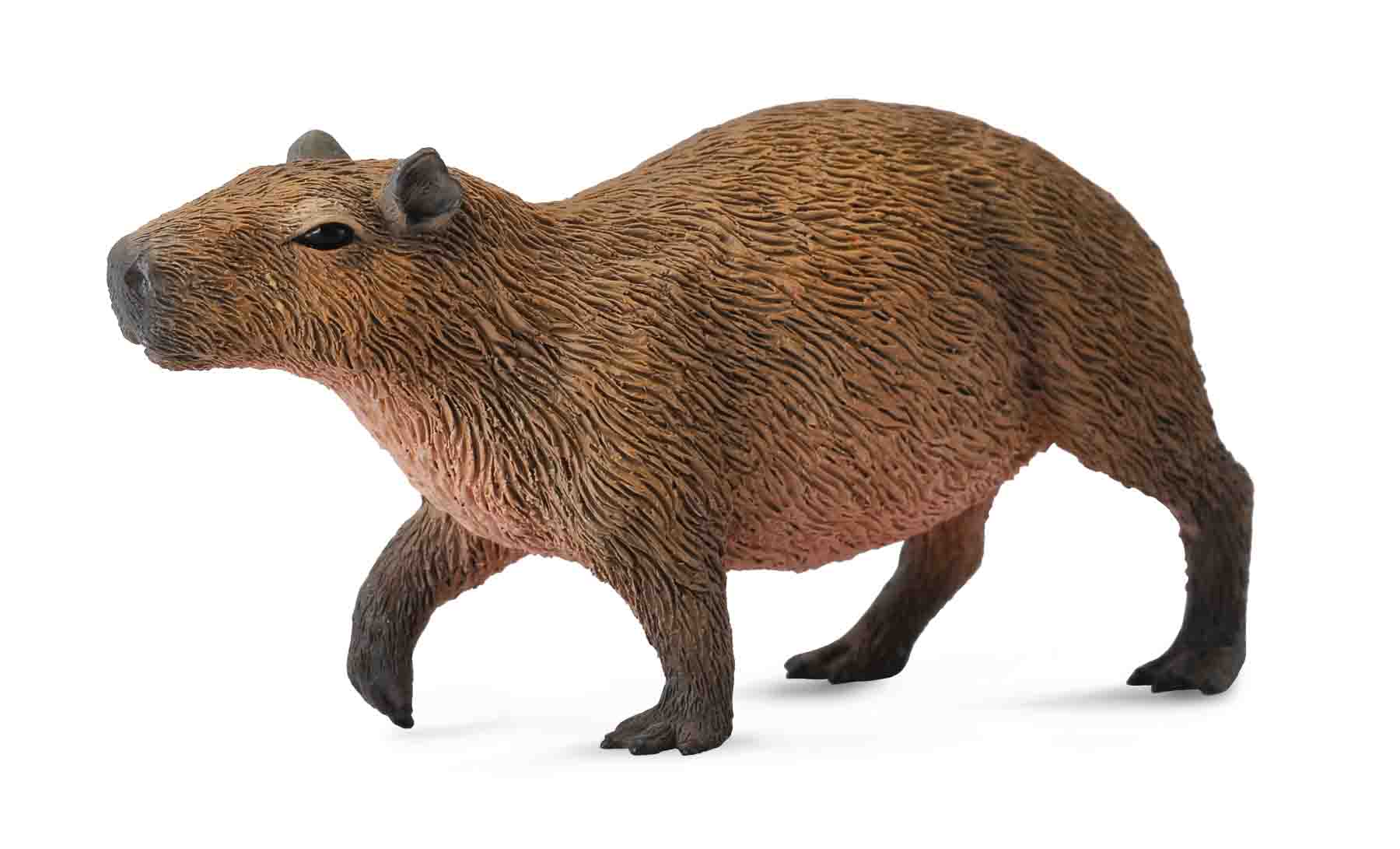 Capybara, Medium (88540)