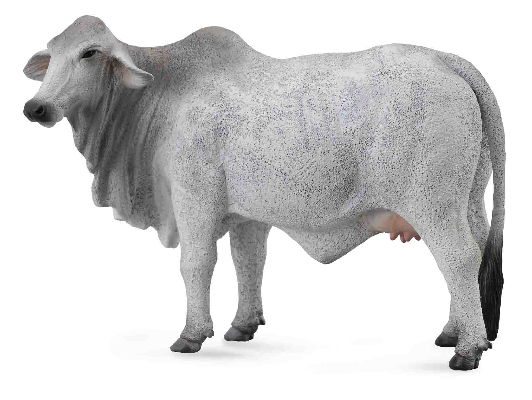 Brahman Cow, Large (88580)