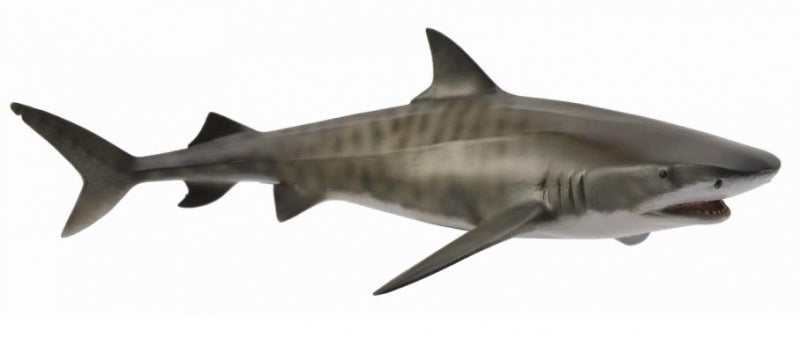 Tiger Shark, Large (88661)