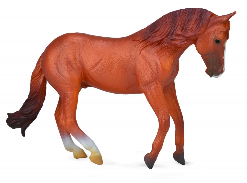 CollectA - Horses - Australian Stock Horse Stallion - Chestnut (XL) (88712)