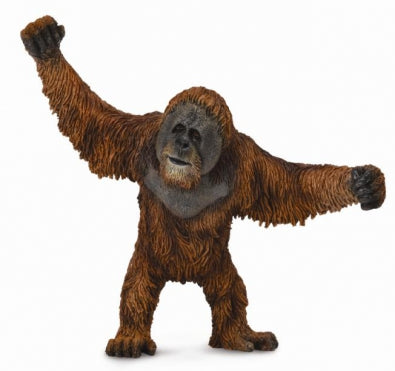 Orangutan, Large (88730)