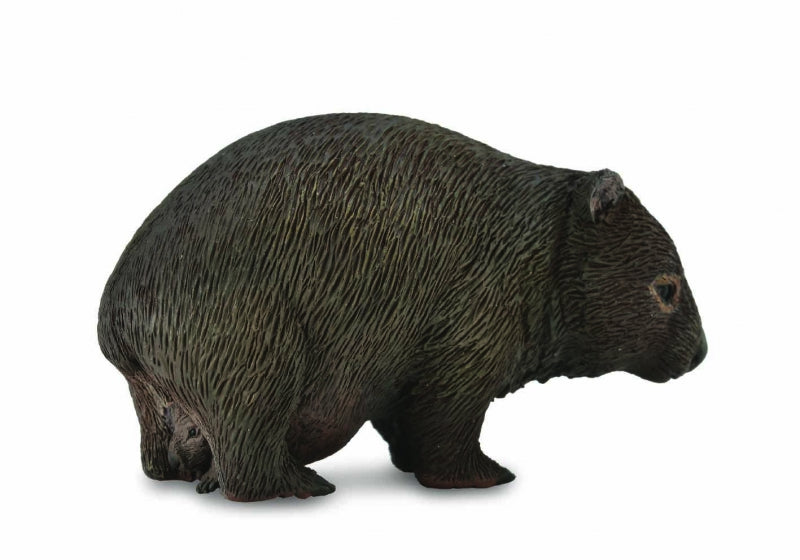 Wombat, Medium (88756)