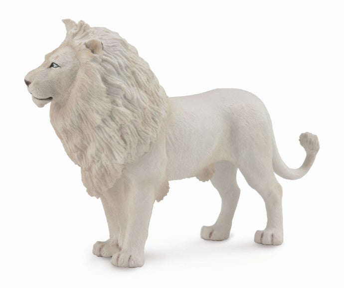 CollectA - Africa - White Lion (L) (88785)