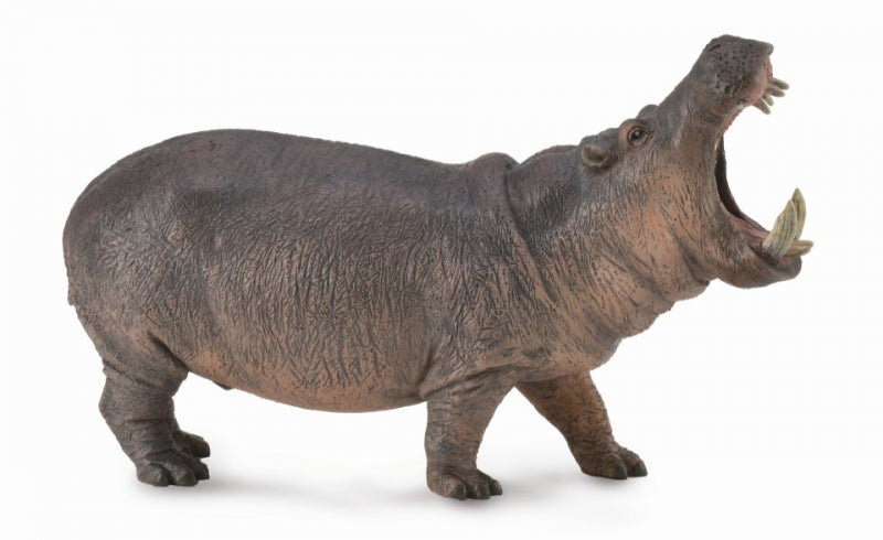 CollectA - Africa - Hippopotamus (XL) (88833)