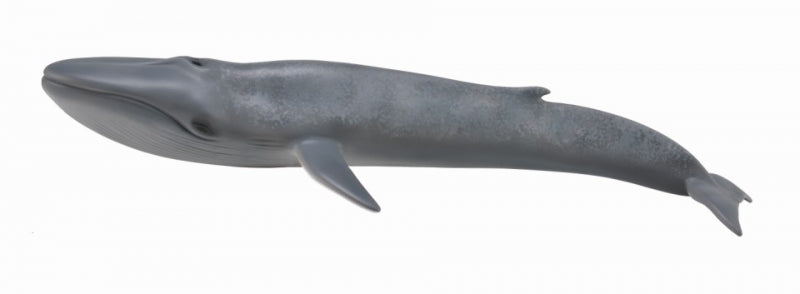 CollectA -  Ocean - Blue Whale (XL) (88834)