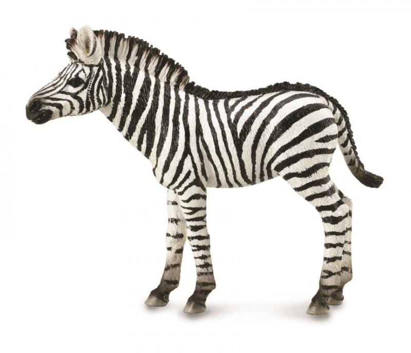 CollectA - Africa - Zebra Foal (M) (88850)