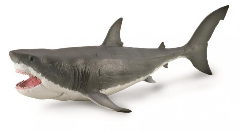 CollectA - The Age of Dinosaurs - Megalodon with Movable Jaw - Deluxe 1: 40 Scale (DLX) (88887)