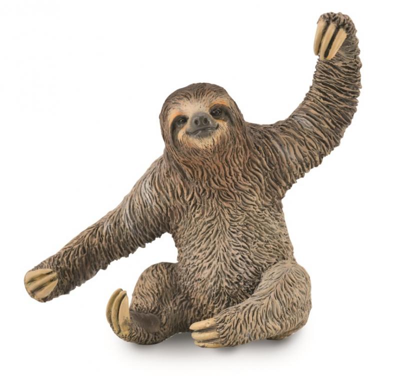 Sloth, Medium (88898)