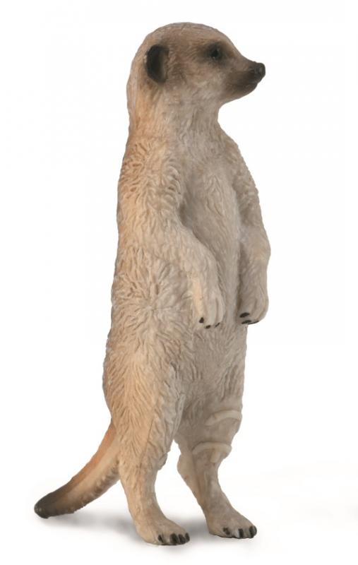 Meerkat, Small (88913)