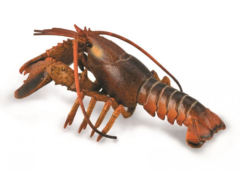 Lobster (DLX) (88920)