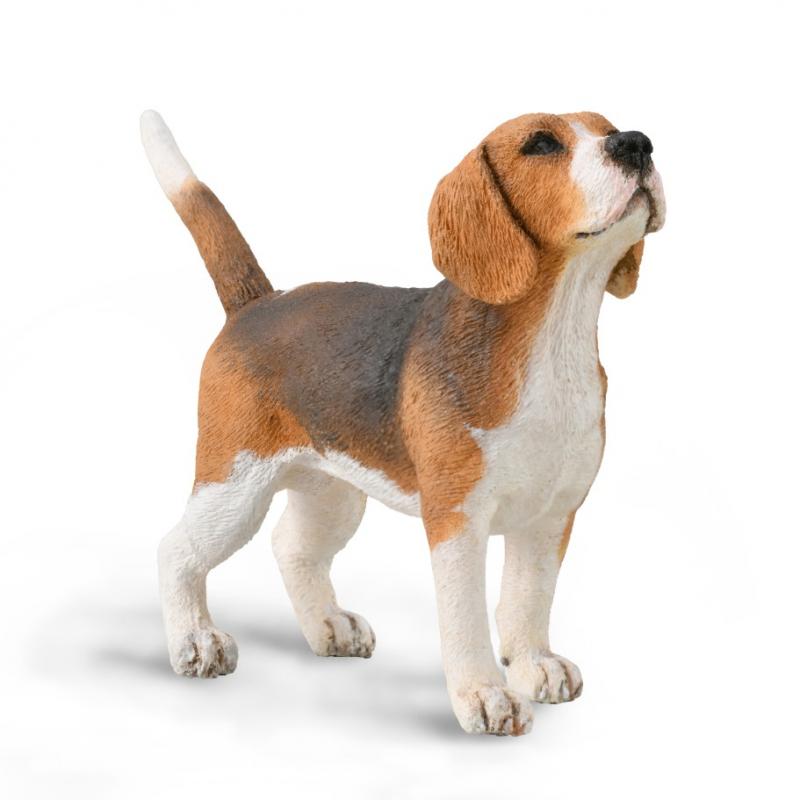 CollectA - Cats & Dogs - Beagle (M) (88935)