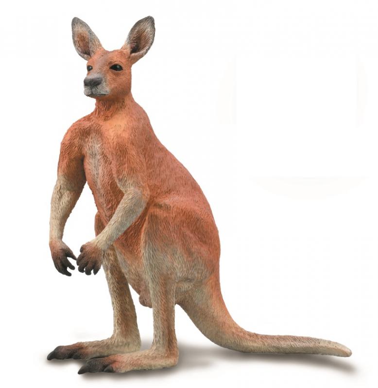 CollectA - Asia & Australasia - Red Kangaroo - Male (L) (88942)