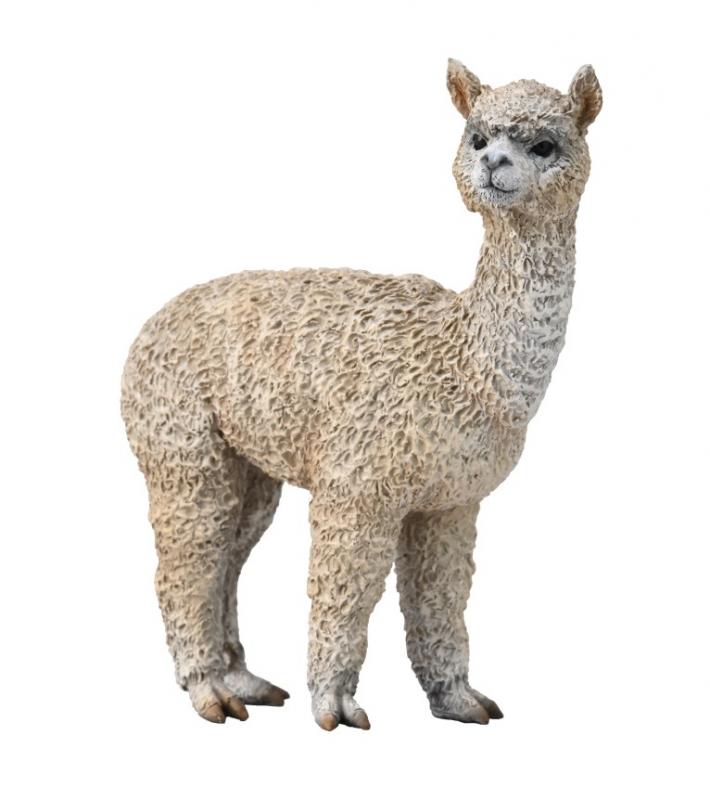 Alpaca, Medium (88960)