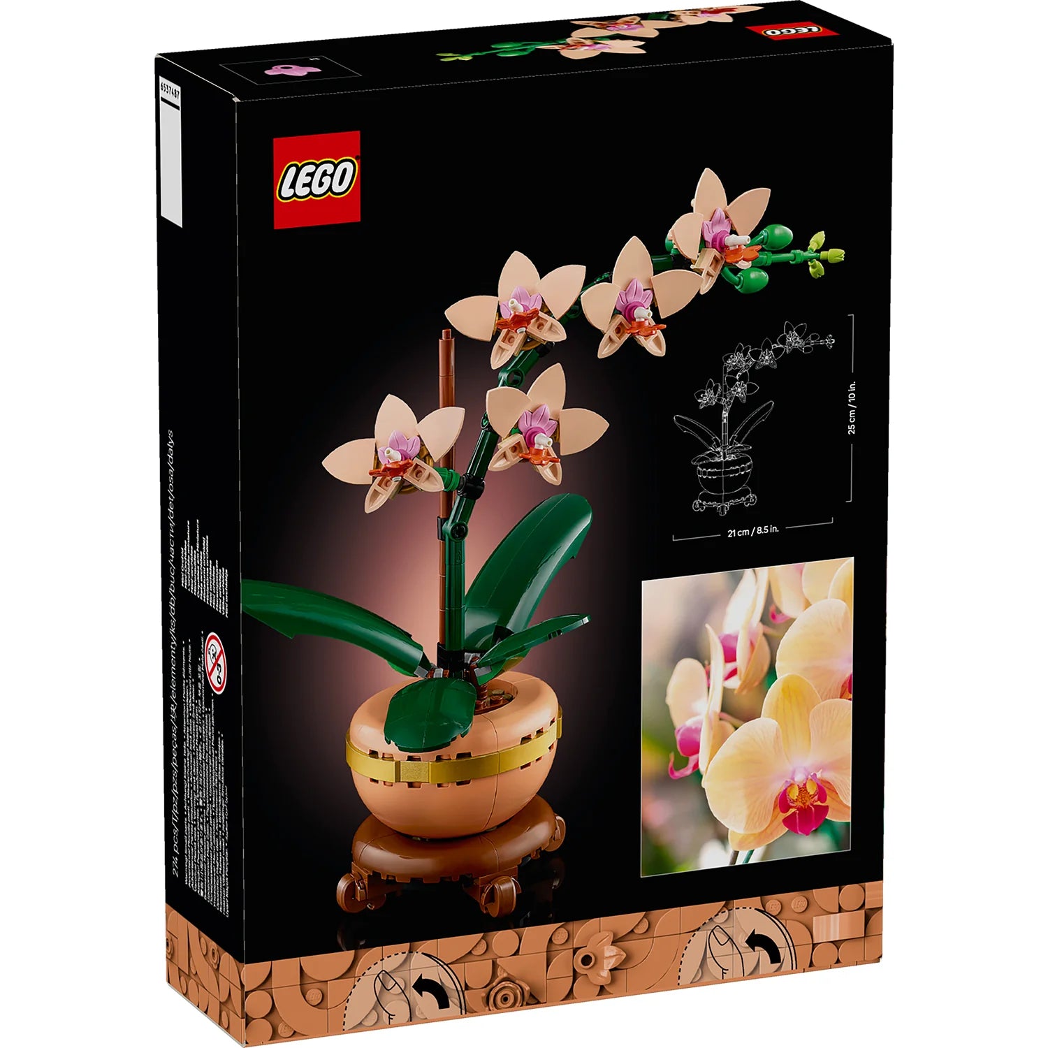 Botanicals Mini Orchid (10343)